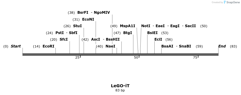 42241_map