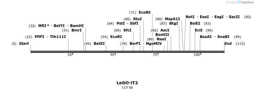 42246_map
