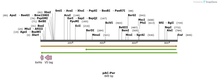 42248_map