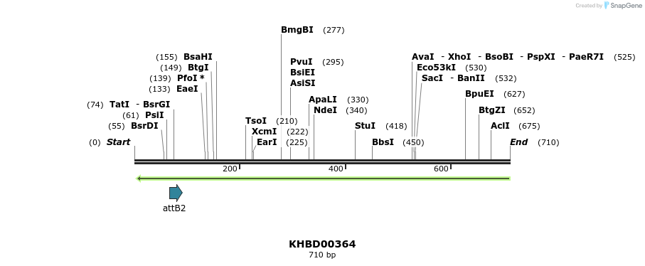 42250_map