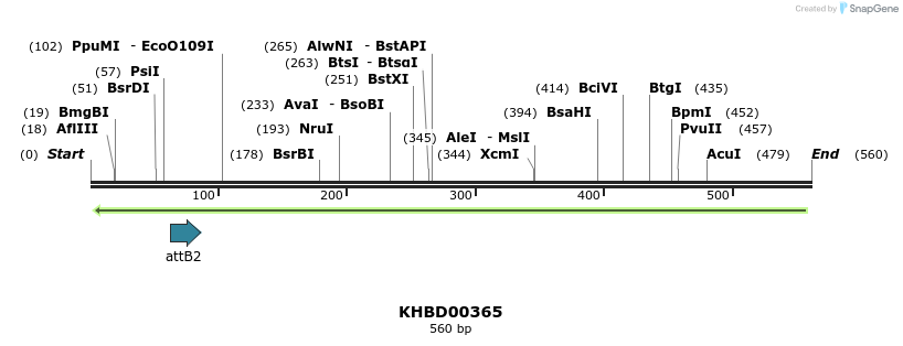 42251_map