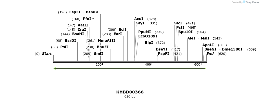 42252_map