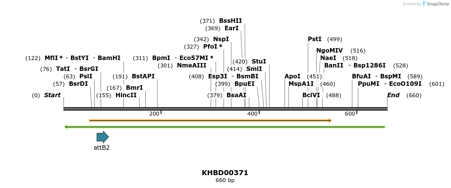 42253_map