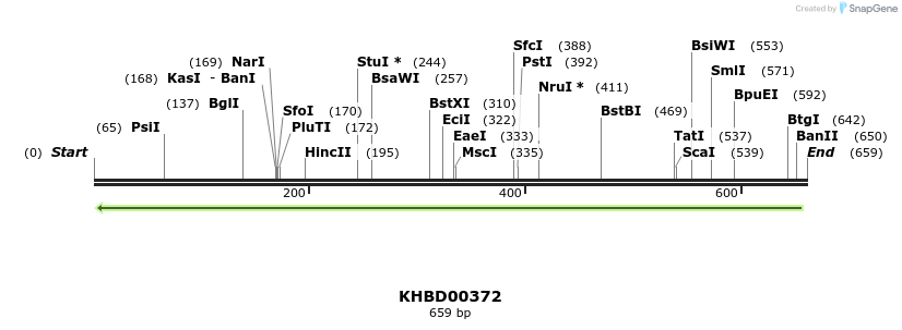 42254_map