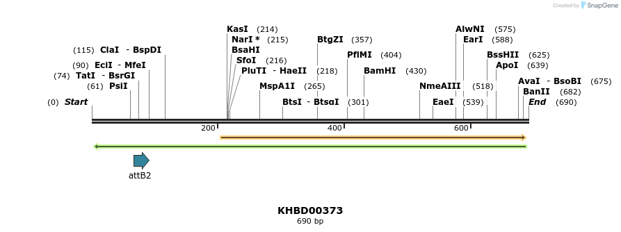 42255_map