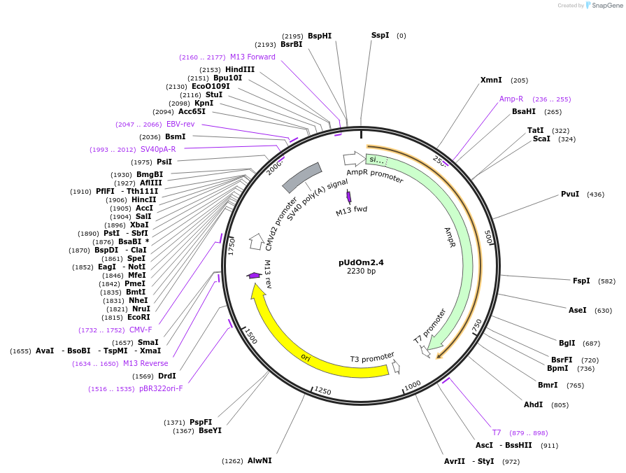 422560_map