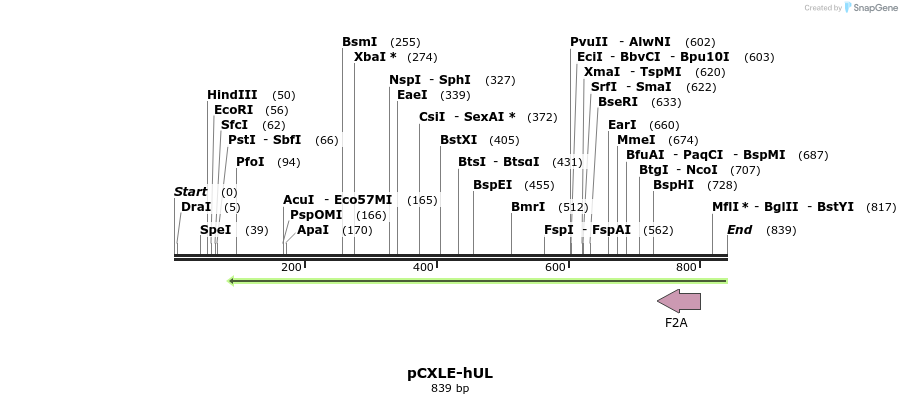 42259_map