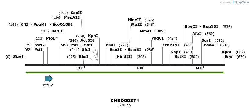 42261_map