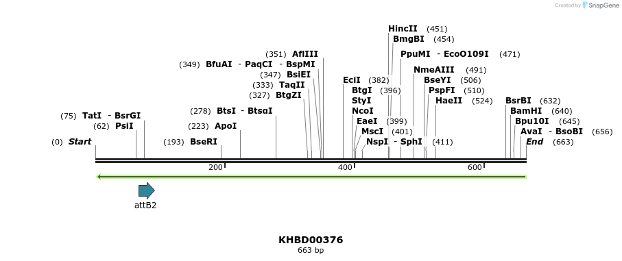 42262_map