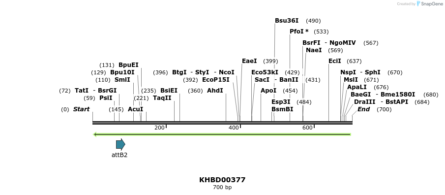 42263_map