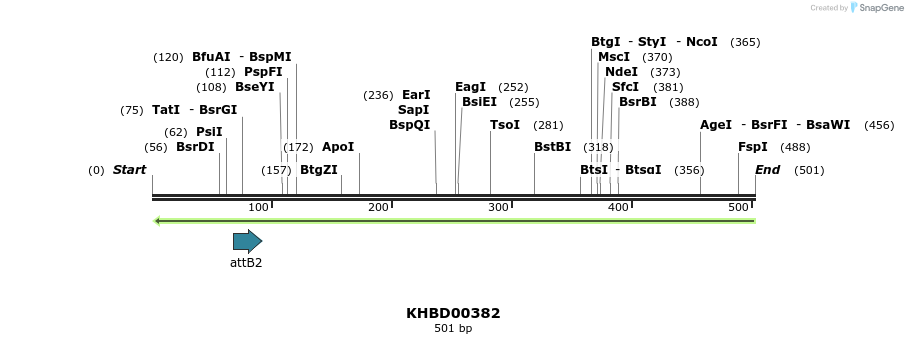 42265_map