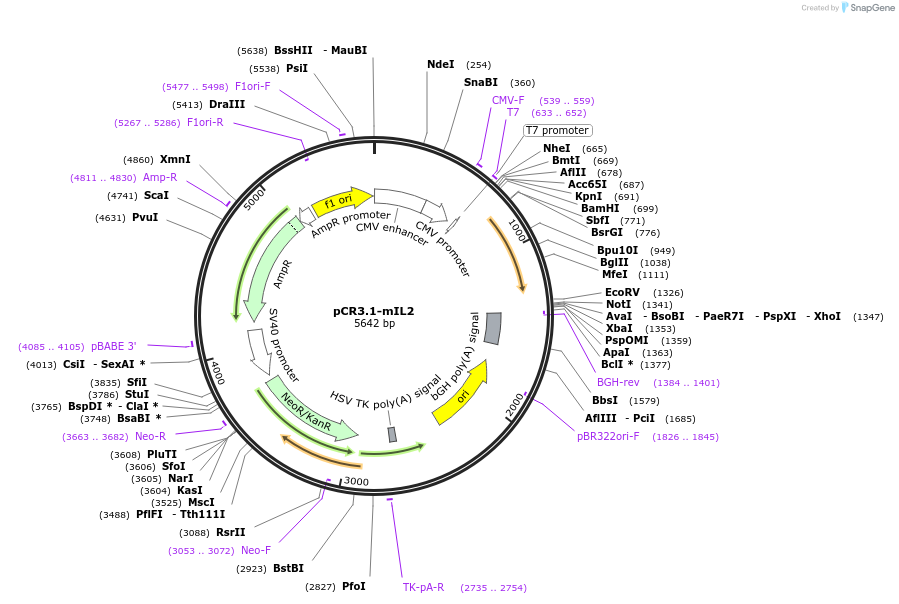 422681_map