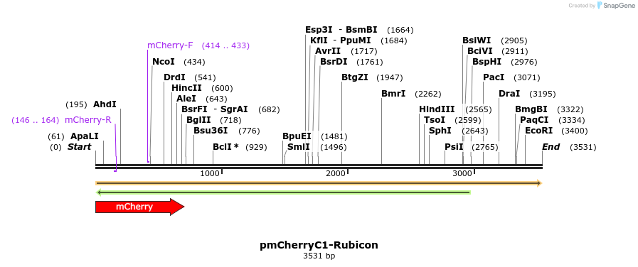 422701_map