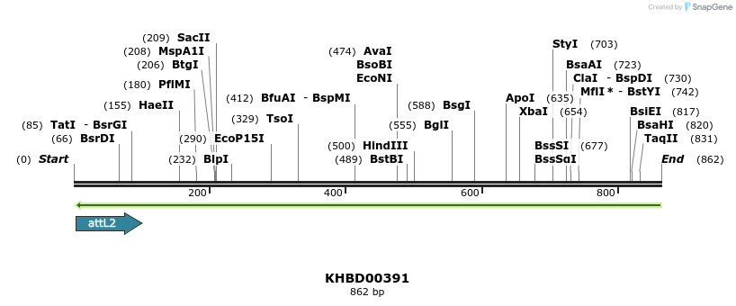 42272_map