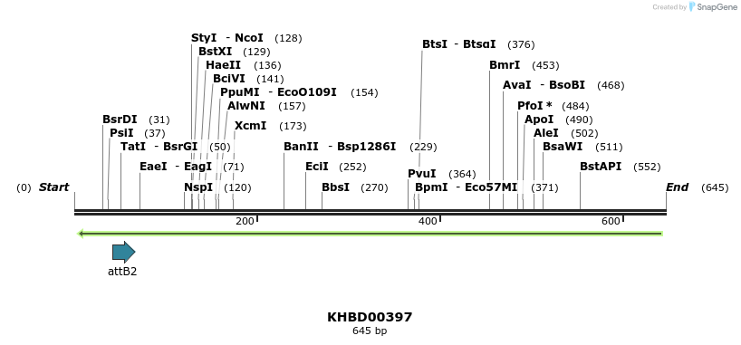 42274_map