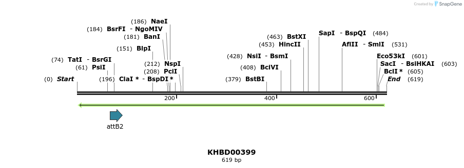 42275_map