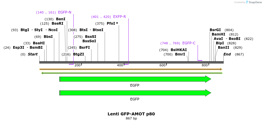 42282_map