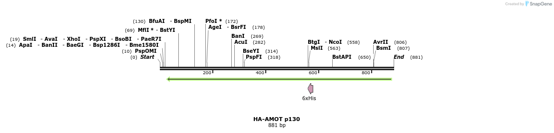 42283_map