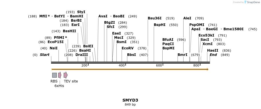 42284_map