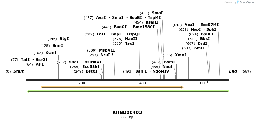 42285_map
