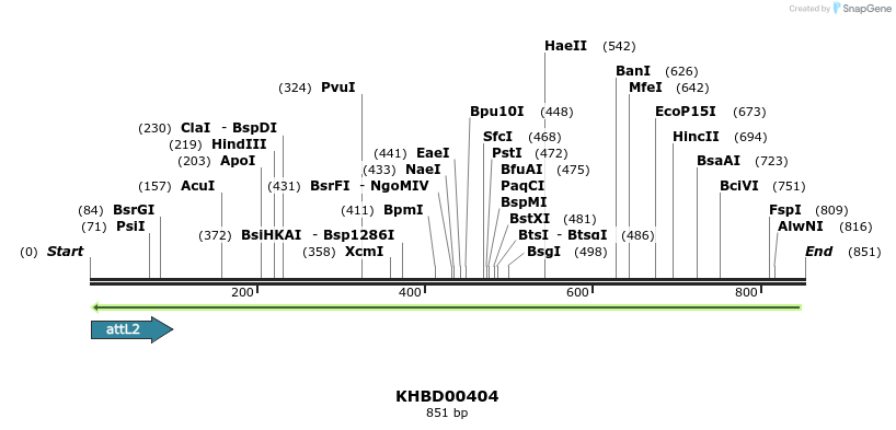 42286_map