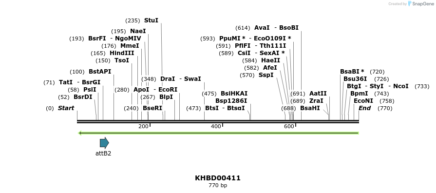 42290_map