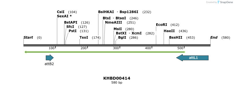 42293_map