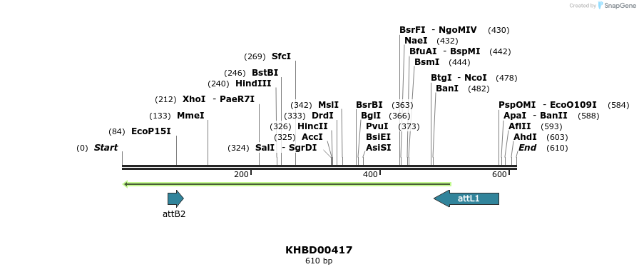 42295_map