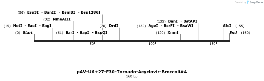 422974_map