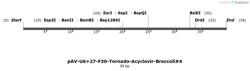 422975_map