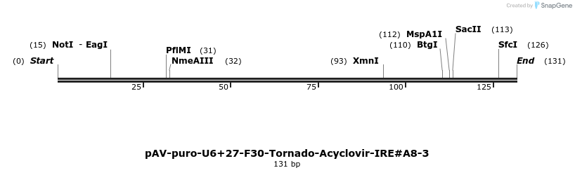 422992_map