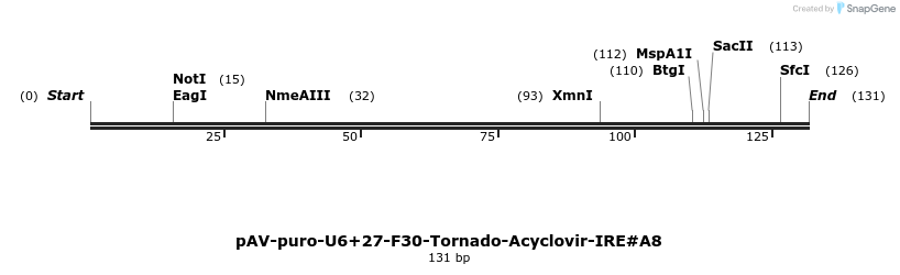 422995_map