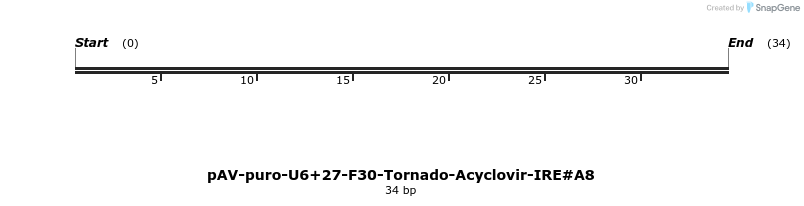 422996_map