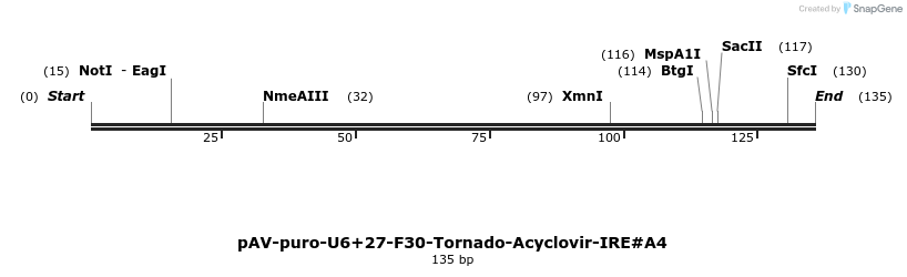 422998_map