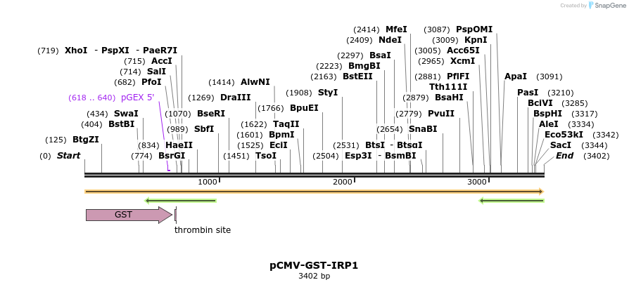 423009_map