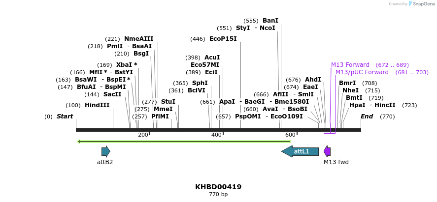 42303_map