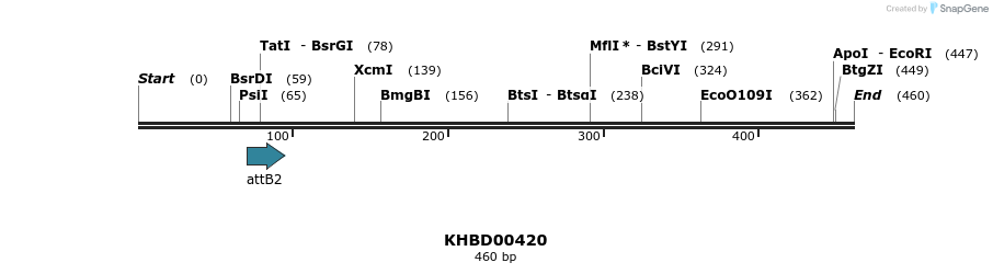 42304_map