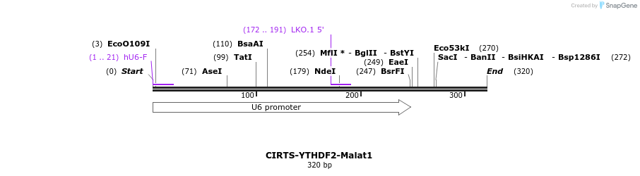 423043_map
