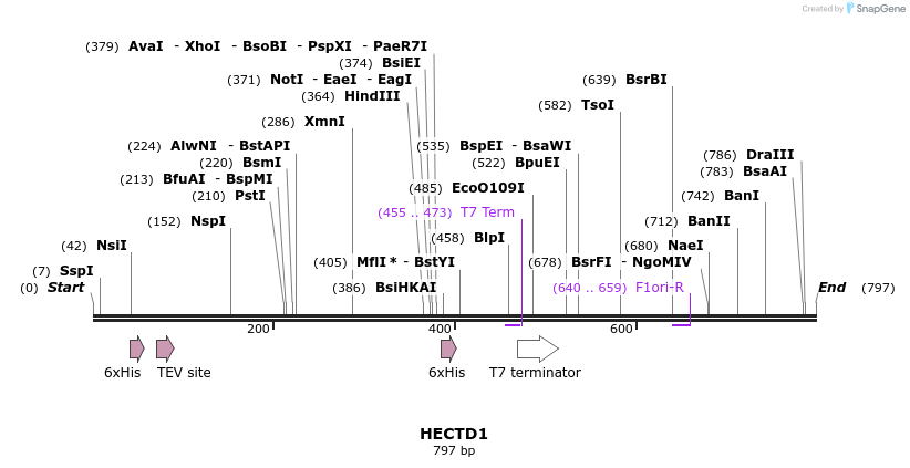 42305_map