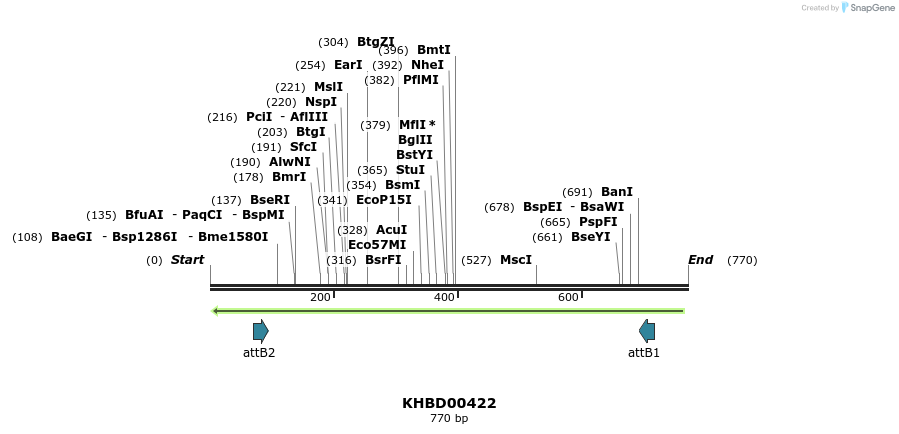 42306_map