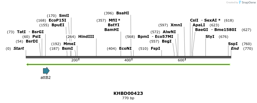 42307_map