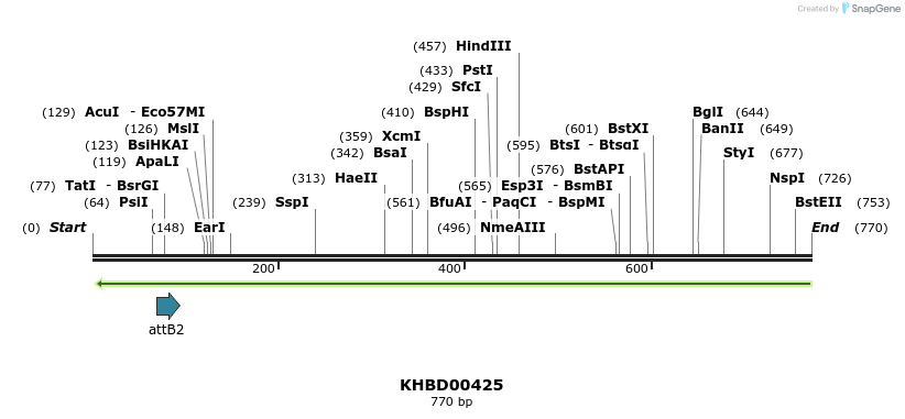 42310_map
