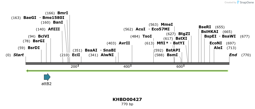 42314_map