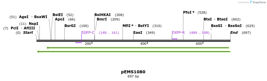 42316_map