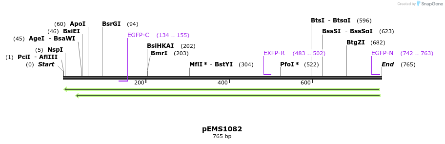 42317_map