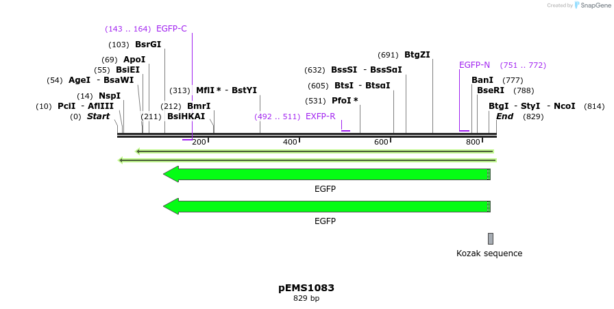42318_map