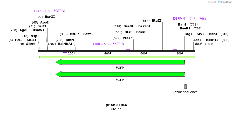 42320_map