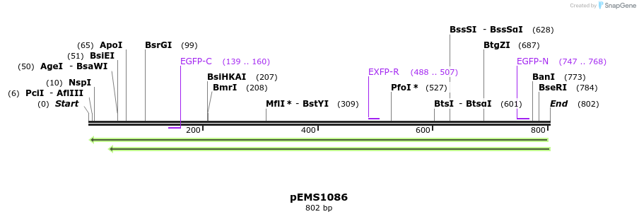 42321_map