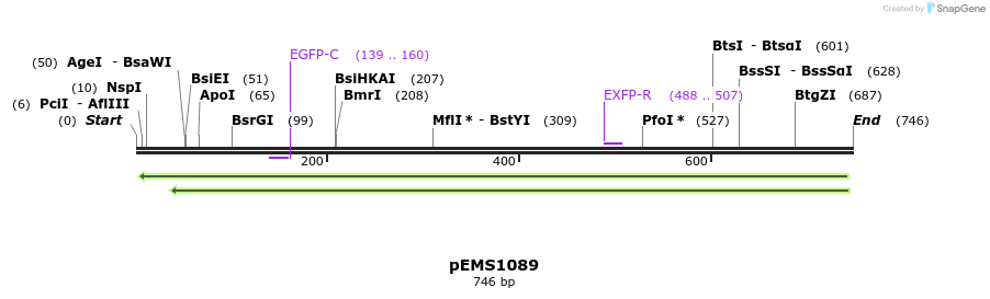 42324_map