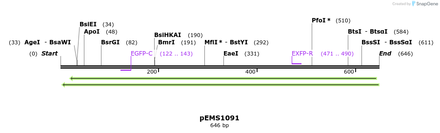 42325_map